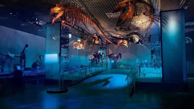 Global Gallery museum venue for evening reception or gala event.