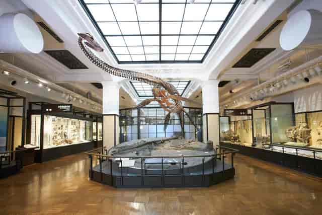 Lecture hall at National Museum of Nature and Science, unique event venue for evening receptions.