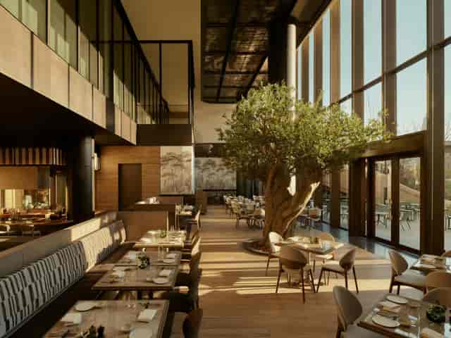 Janu Grill, upscale venue with central olive tree for corporate networking and private events.