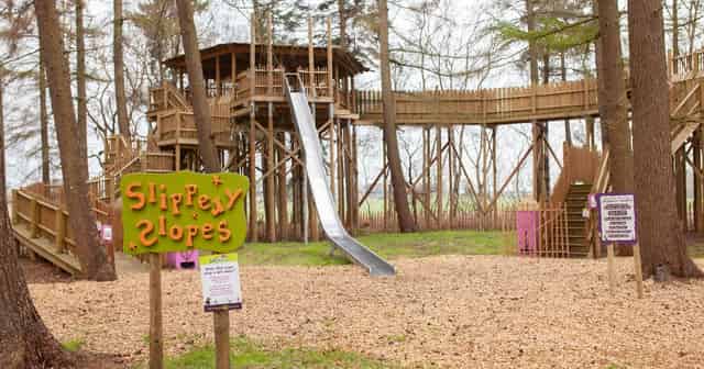Outdoor Activity Area