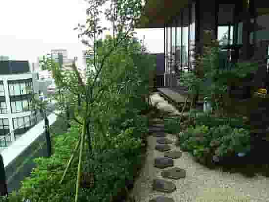Rooftop Garden