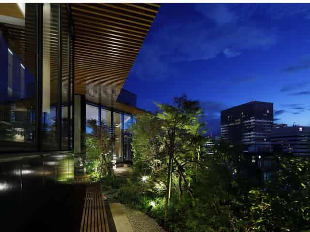 Rooftop Garden