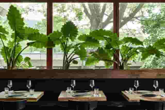 Restaurant & Bar