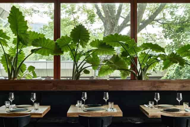 Modern restaurant venue with biophilic design for corporate dinners and networking events.
