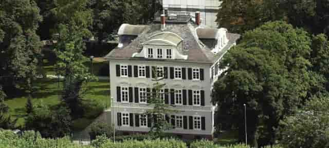 Blue Salon at Villa Metzler: historic executive retreat and boutique meeting venue.