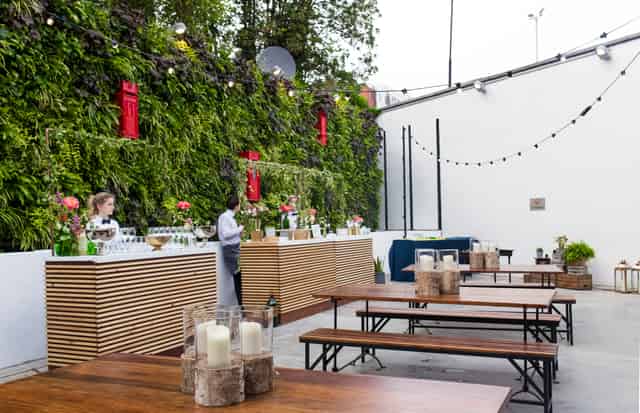 Summer Party in the Courtyard