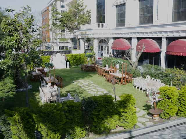 Garden
