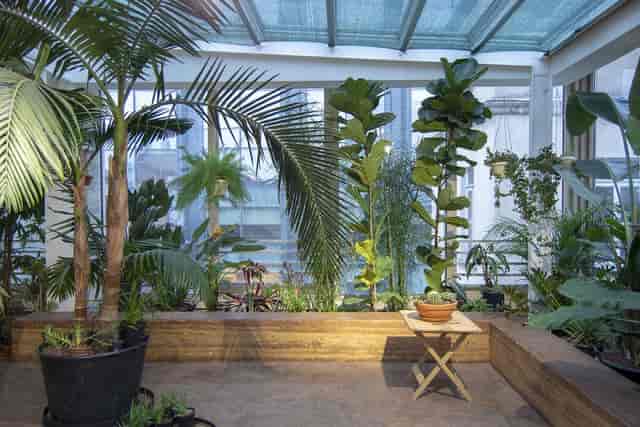 GÖSTERİM at Salt Beyoğlu: Biophilic micro-venue for networking mixers and wellness events.
