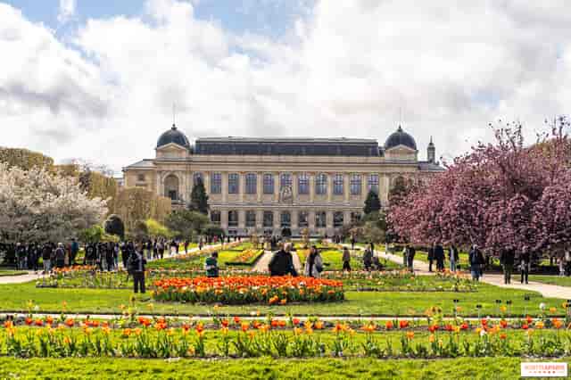 Histoire naturelle de Paris ...
