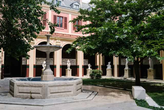 Cour du mûrier