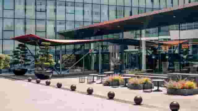 Chinon
