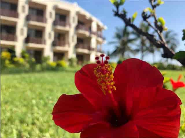 Oysterbay Marquee: Lush garden venue for corporate retreats and luxury incentive events.
