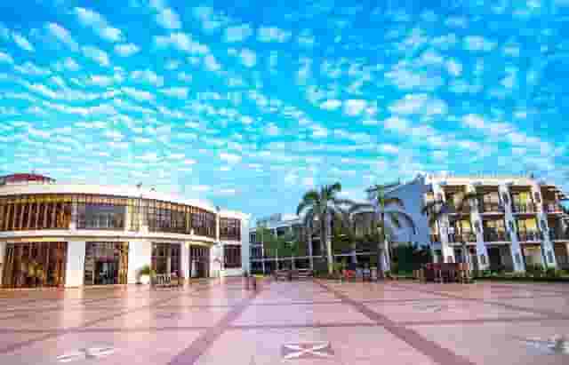 Oysterbay Marquee