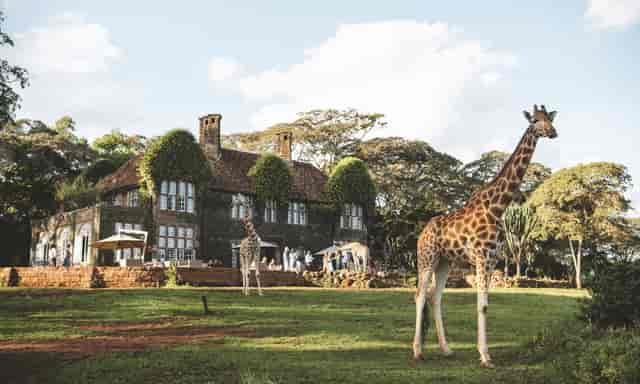 Giraffe Manor Orchid House: luxury wildlife venue for unique experiential and corporate events.