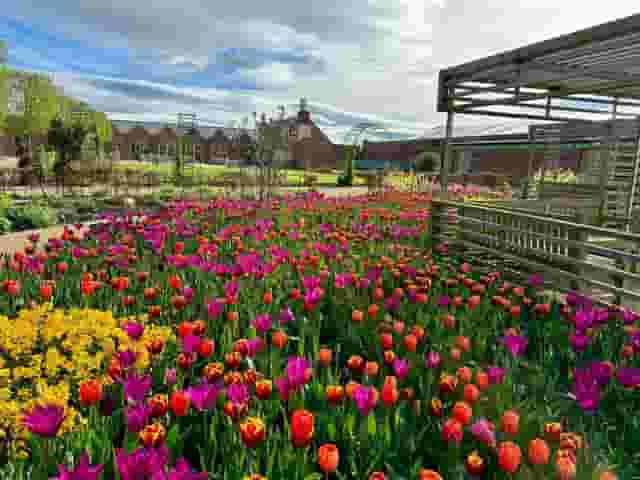Kirkleatham Walled Garden