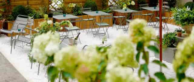Rooftop bar at Villa Dahlia with lush landscaping for networking and corporate events.
