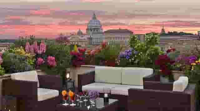 Roof Garden
