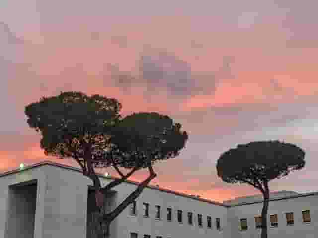 Sala Minnucci