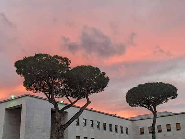 Sala Minnucci