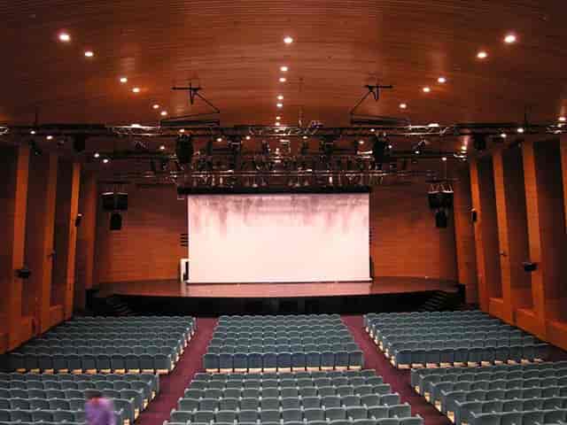 Wood-paneled auditorium with fixed seating for corporate presentations and formal assemblies.