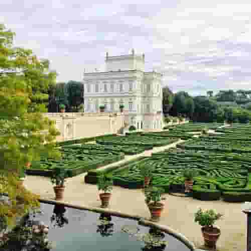 The Garden of Olive Trees