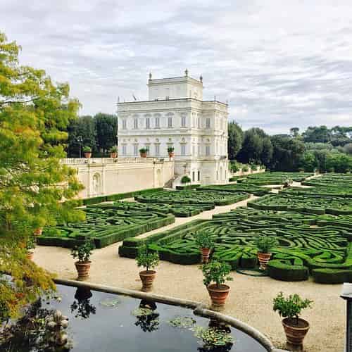 The Garden of Olive Trees