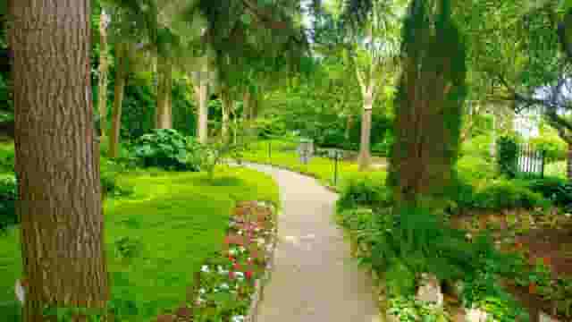 The Garden of Olive Trees