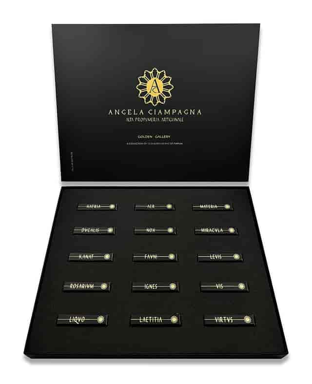 Golden Gallery Discovery Set | Angela ...