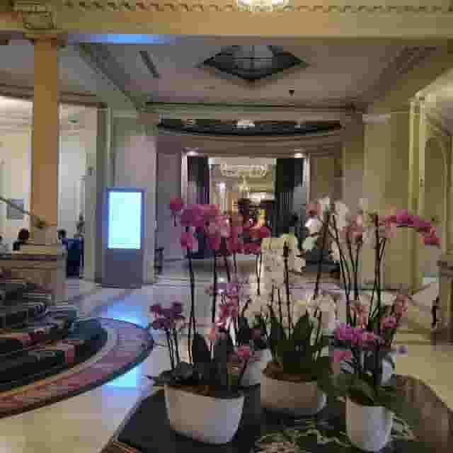 Galería Foyer