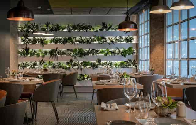 Bávaro Catalonia Gran Vía Madrid living wall for corporate dinner and networking event venue.