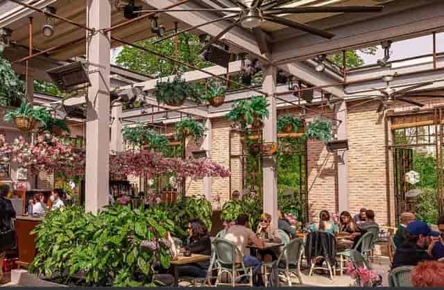 Jardin Invernadero greenhouse event space with lush greenery for networking and social mixers.