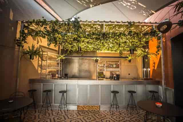 Biophilic bar at Hotel Indigo Terrace, ideal for intimate networking receptions and corporate events.