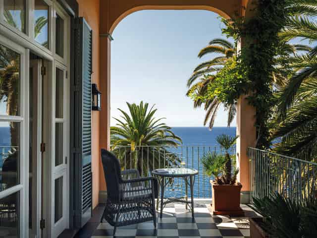 Palm Garden