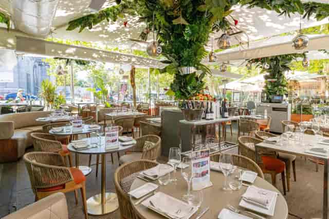 Villa in Ramses: Biophilic patio venue for corporate lunches and networking events.