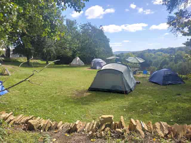 Rustic Pine Hall at Monkton Wyld Court: intimate teambuilding retreat and glamping venue.