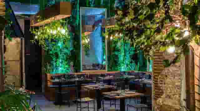 Clorofilla Restaurant