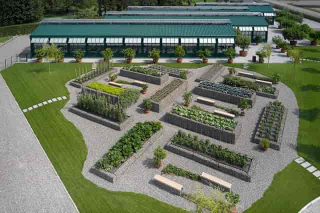 Glasshouses and vegetable gardens for corporate wellness retreats and farm-to-table events.