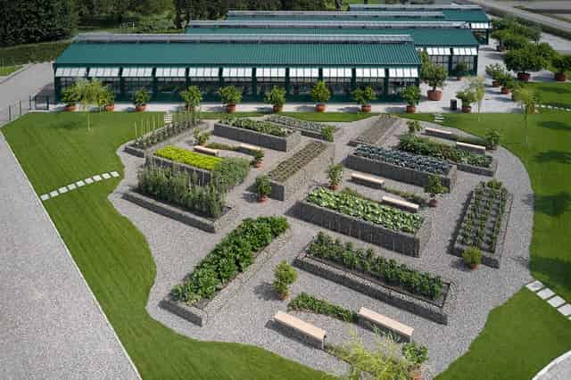 Glasshouses and vegetable gardens