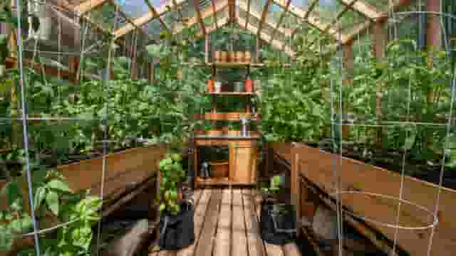 Glasshouses and vegetable gardens
