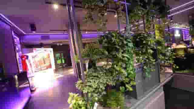 New York Lounge