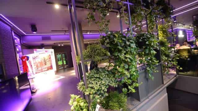 New York Lounge