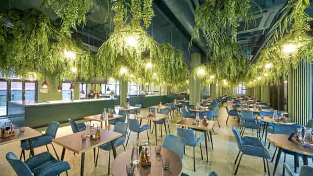 Biophilic dining space with hanging greenery, ideal for professional networking and conferences.