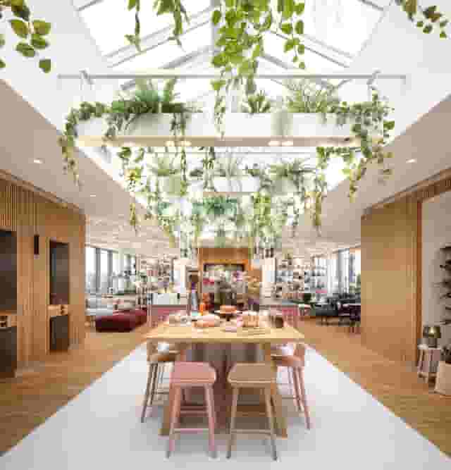 Rooftop restaurant