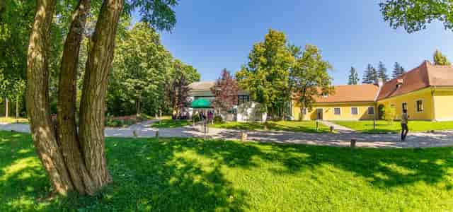 Al fresco corporate retreat at Europahaus Wien restaurant in a serene, nature-forward setting.