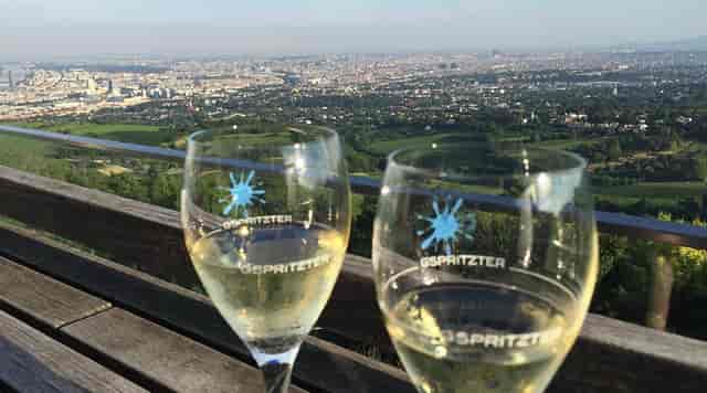 Panoramic bar in Kahlenberg, Vienna: stunning terrace view for corporate incentive events.