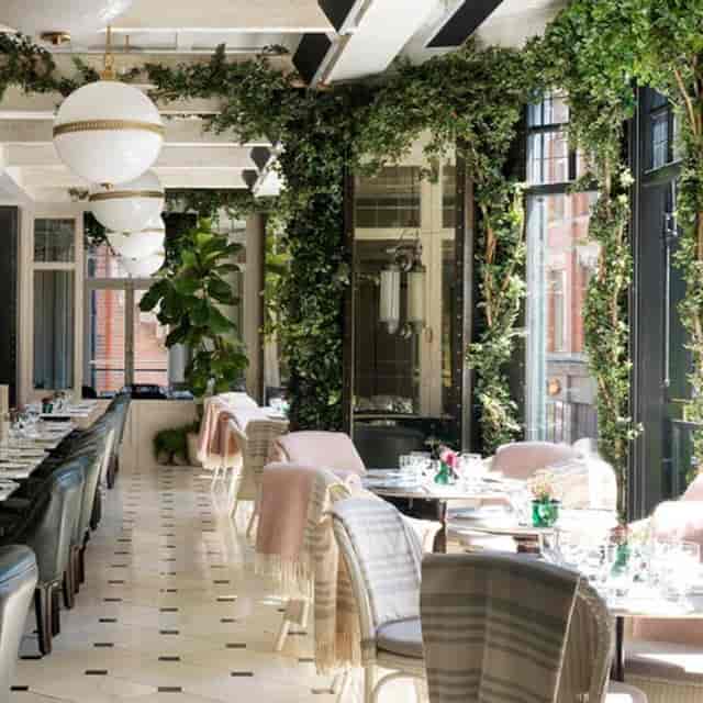 Biophilic dining area in WILDE for corporate dinner or networking event.