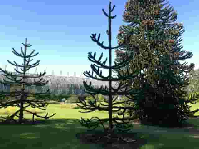 Royal Botanic Garden Edinburgh