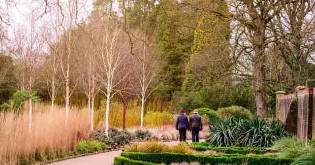 Winter Garden breakout space for intimate networking and wellness off-site events.