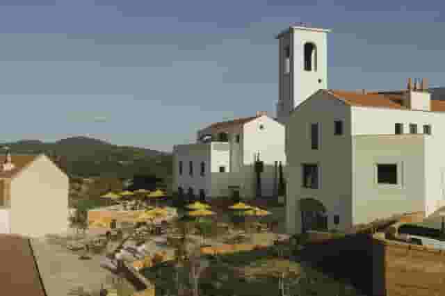 Oliveira / Olive Tree Boardroom