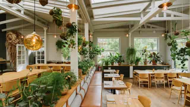 Biophilic Restaurant KILDEN: Ideal venue for corporate brunch and professional breakout sessions.